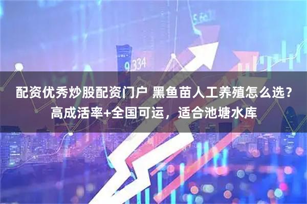 配资优秀炒股配资门户 黑鱼苗人工养殖怎么选?高成活率+全国可运,适合池塘水库