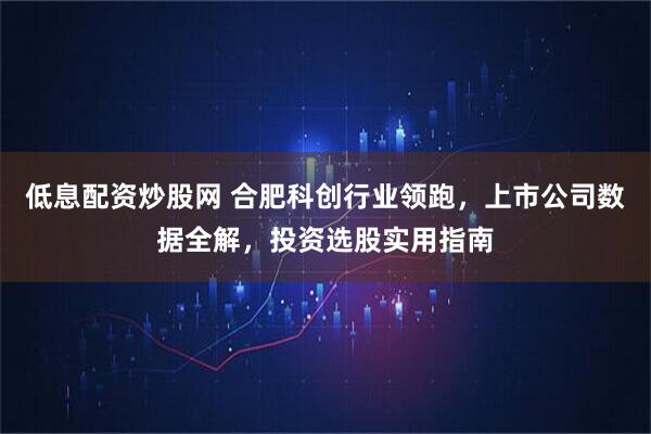 低息配资炒股网 合肥科创行业领跑，上市公司数据全解，投资选股实用指南