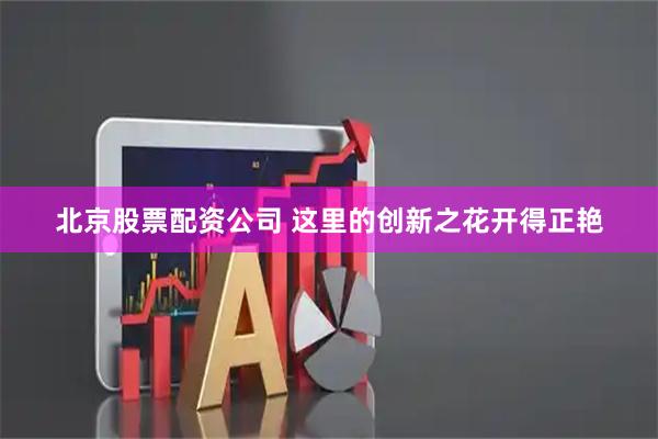 北京股票配资公司 这里的创新之花开得正艳