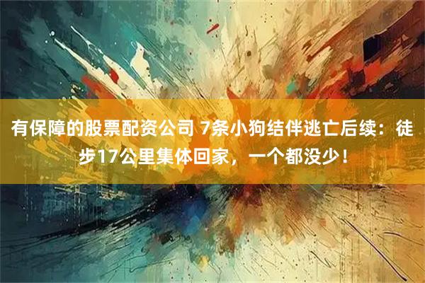 有保障的股票配资公司 7条小狗结伴逃亡后续：徒步17公里集体回家，一个都没少！