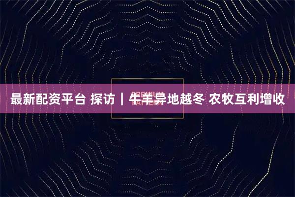最新配资平台 探访｜牛羊异地越冬 农牧互利增收