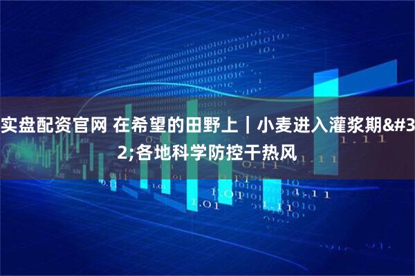 实盘配资官网 在希望的田野上|小麦进入灌浆期 各地科学防控干热风