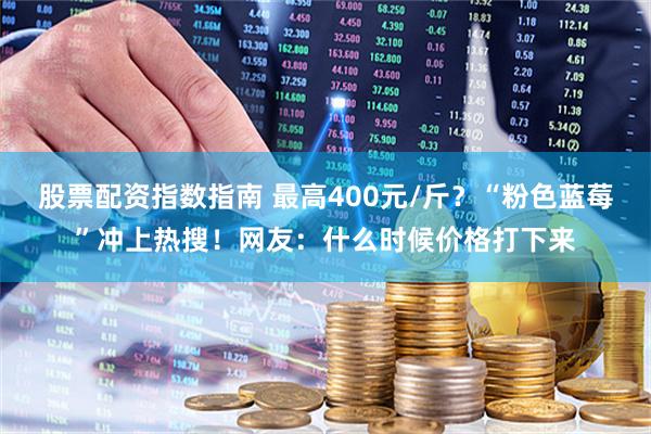 股票配资指数指南 最高400元/斤？“粉色蓝莓”冲上热搜！网友：什么时候价格打下来